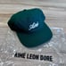Aime Leon Dore Cursive Embroidered Cap Green