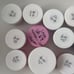 Lot of sparkle and co dip powder (lot A)