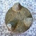 Molcajete Ya Curado con bola