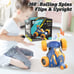 Brand NEW, NWT, Double Sided Remote Control Stunt Car with Music & Light