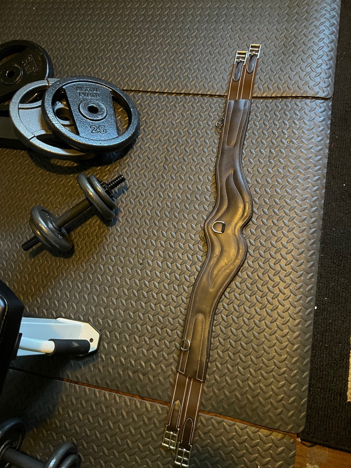 EXion pro English girth