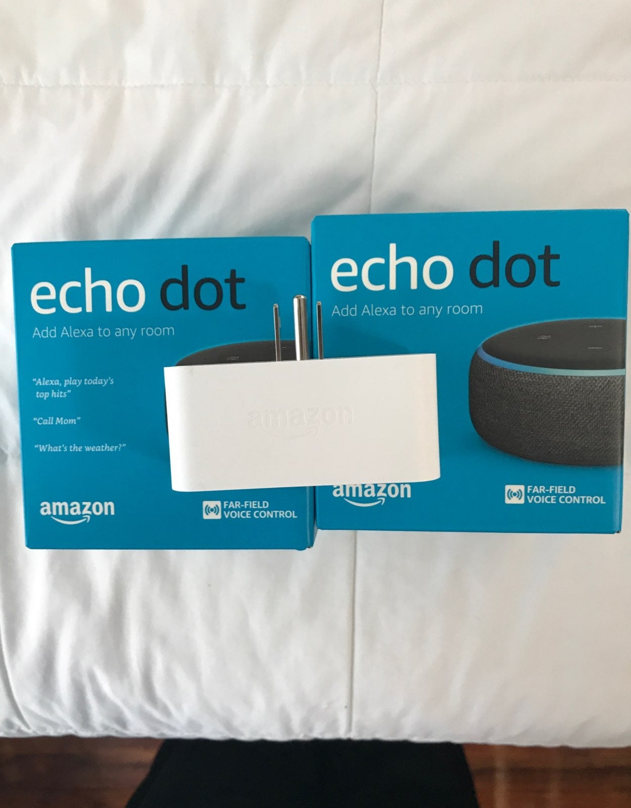 2 Amazon Alexa Echo Dot and 1 smart plug