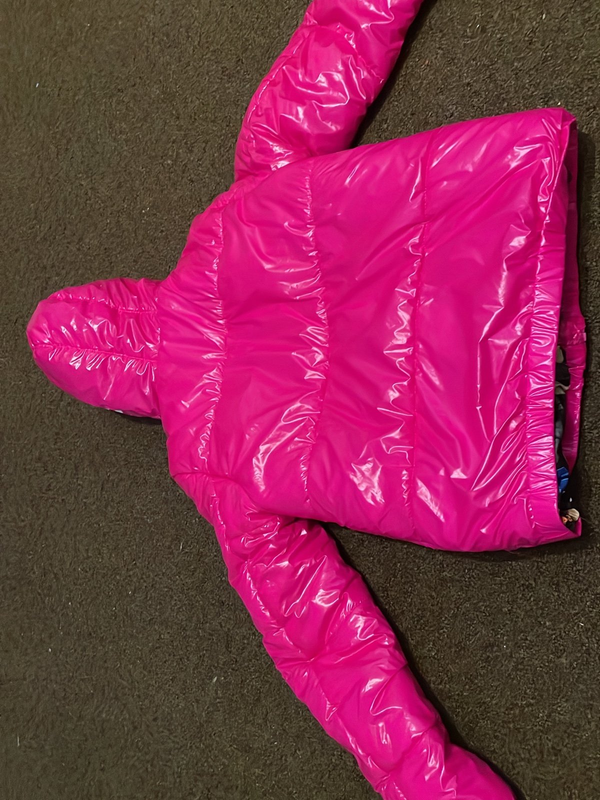 Pink spaceman puffer