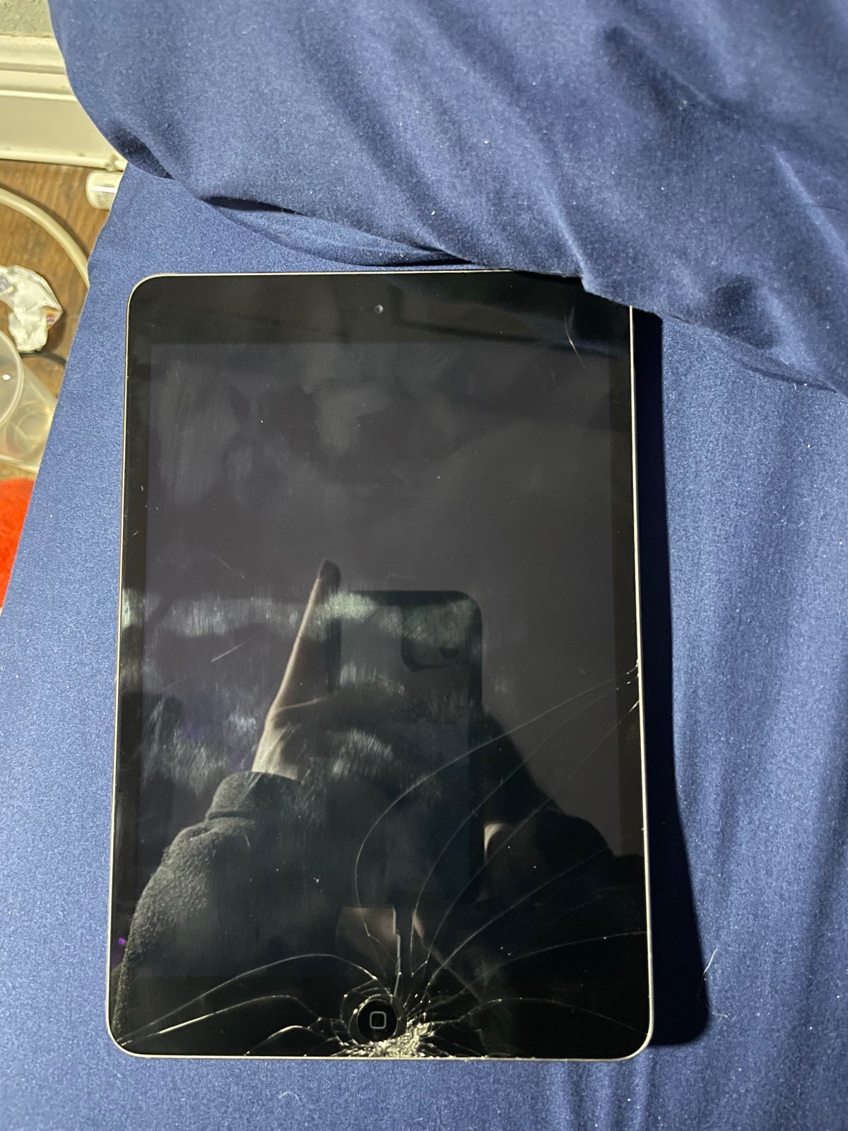 iPad Mini 2