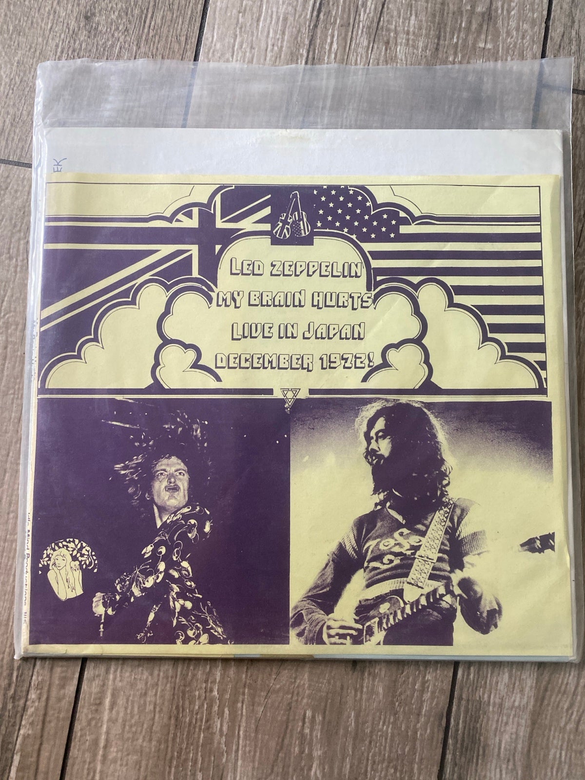 Led Zeppelin My Brain Hurts Live in Japan 1972 vinyl LP