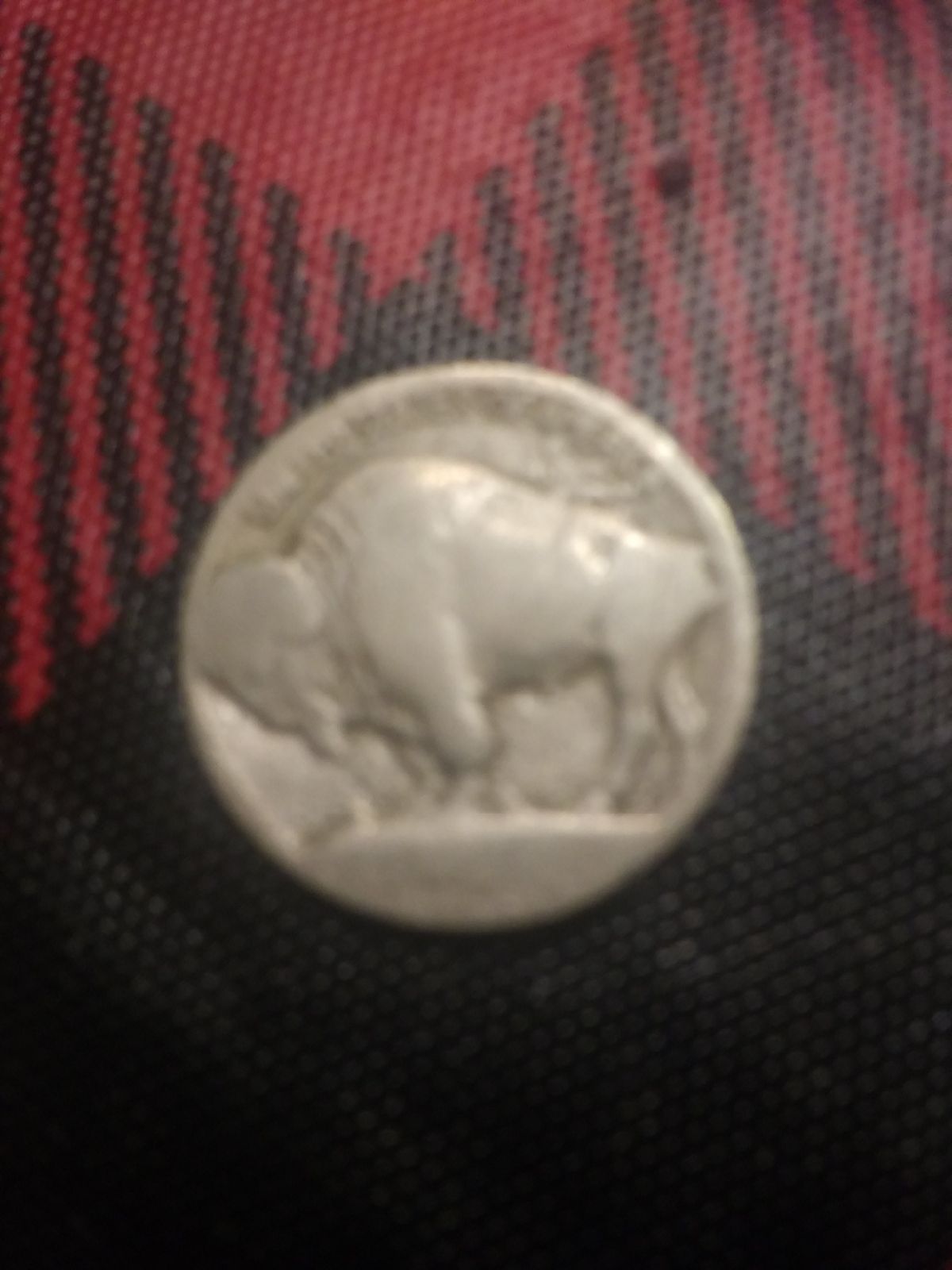 Buffalo head nickel