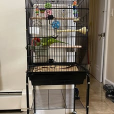 NEW Open Top Rolling Parrot Bird Cage