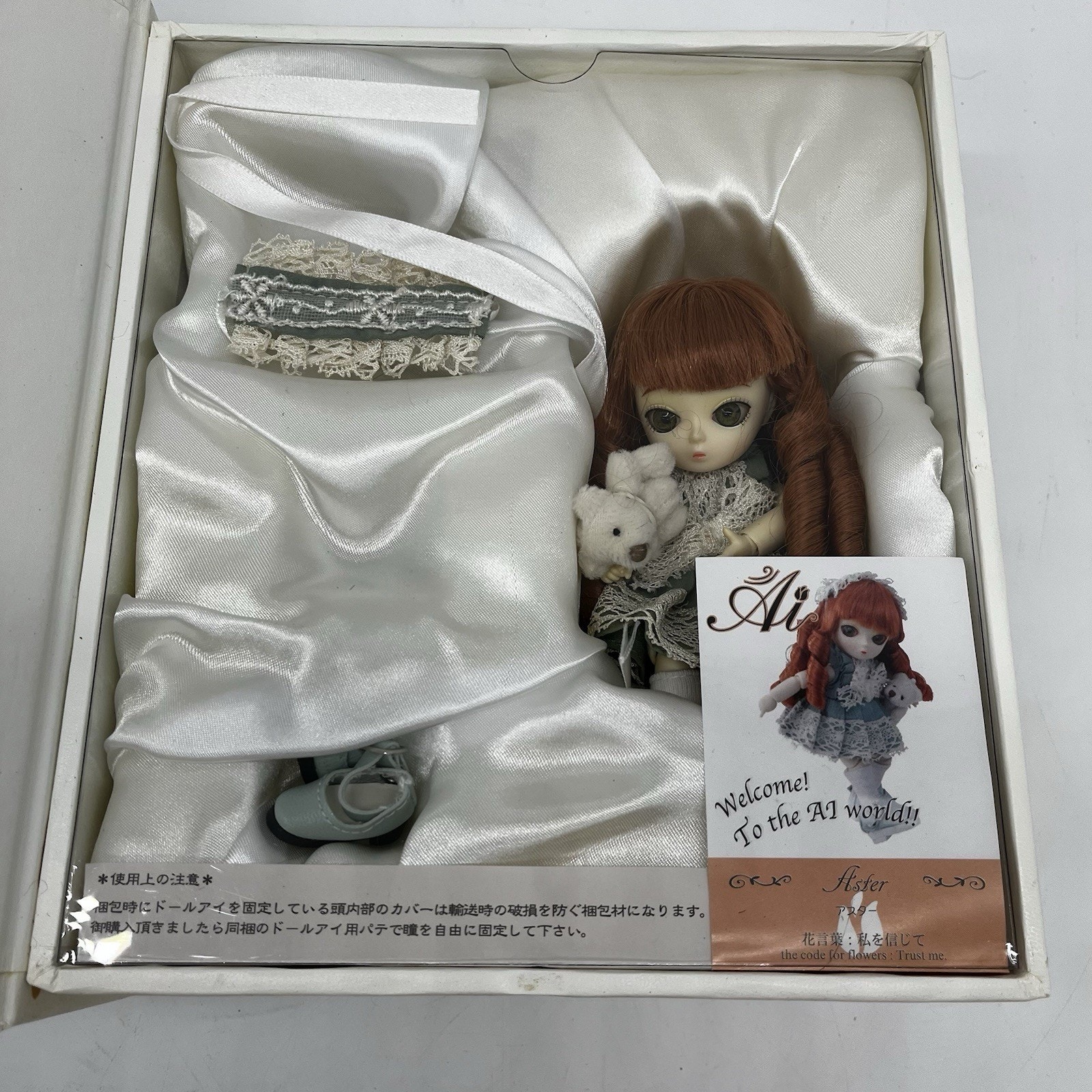 Ai Ball Jointed Doll Aster w Teddy BJD Japanese girl doll toy figure 5 tall BOX