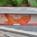 Fairyloot Exclusive Signed Edition A Fire In The Sky by Sophie Jordan
