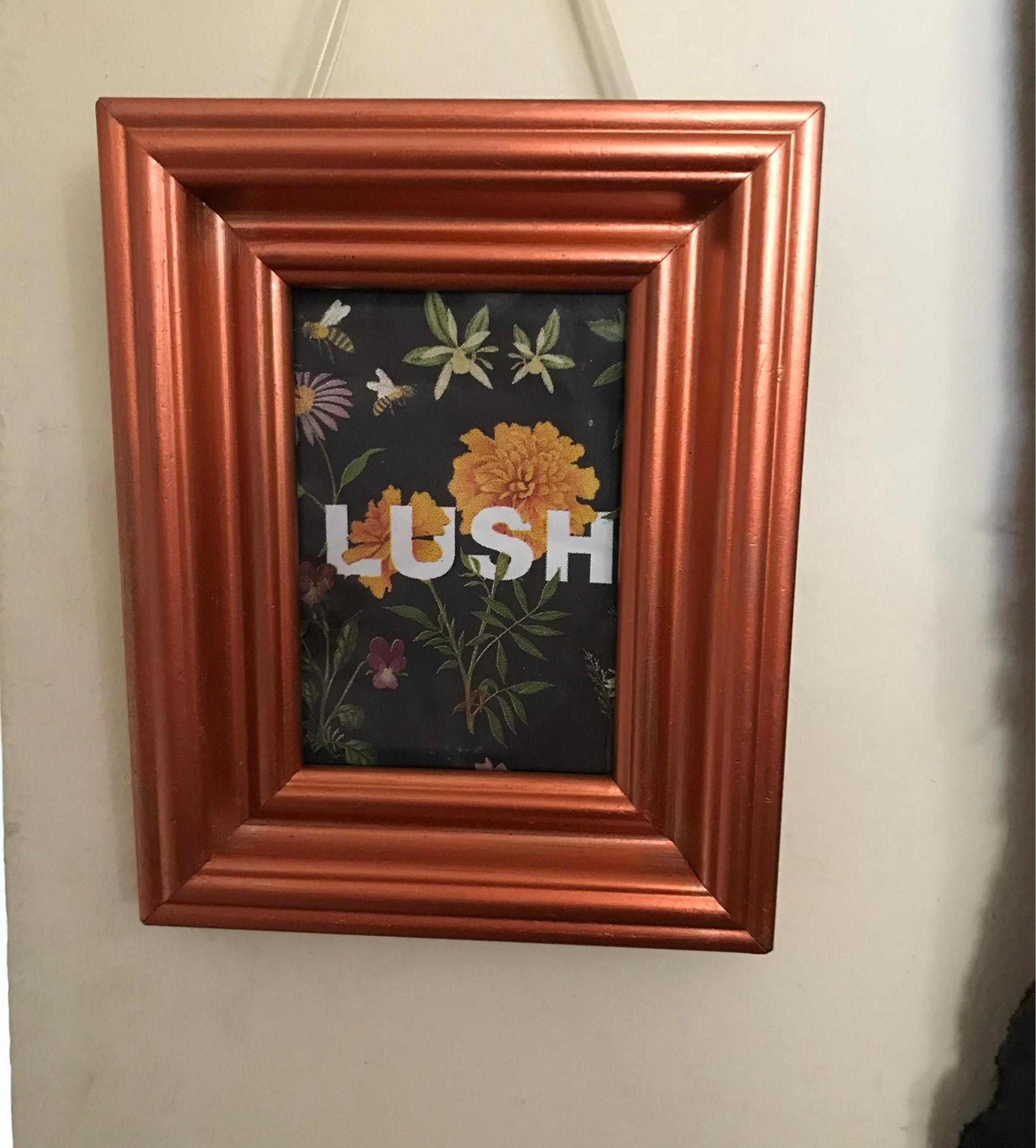 Framed Lush Cosmetic botanical art