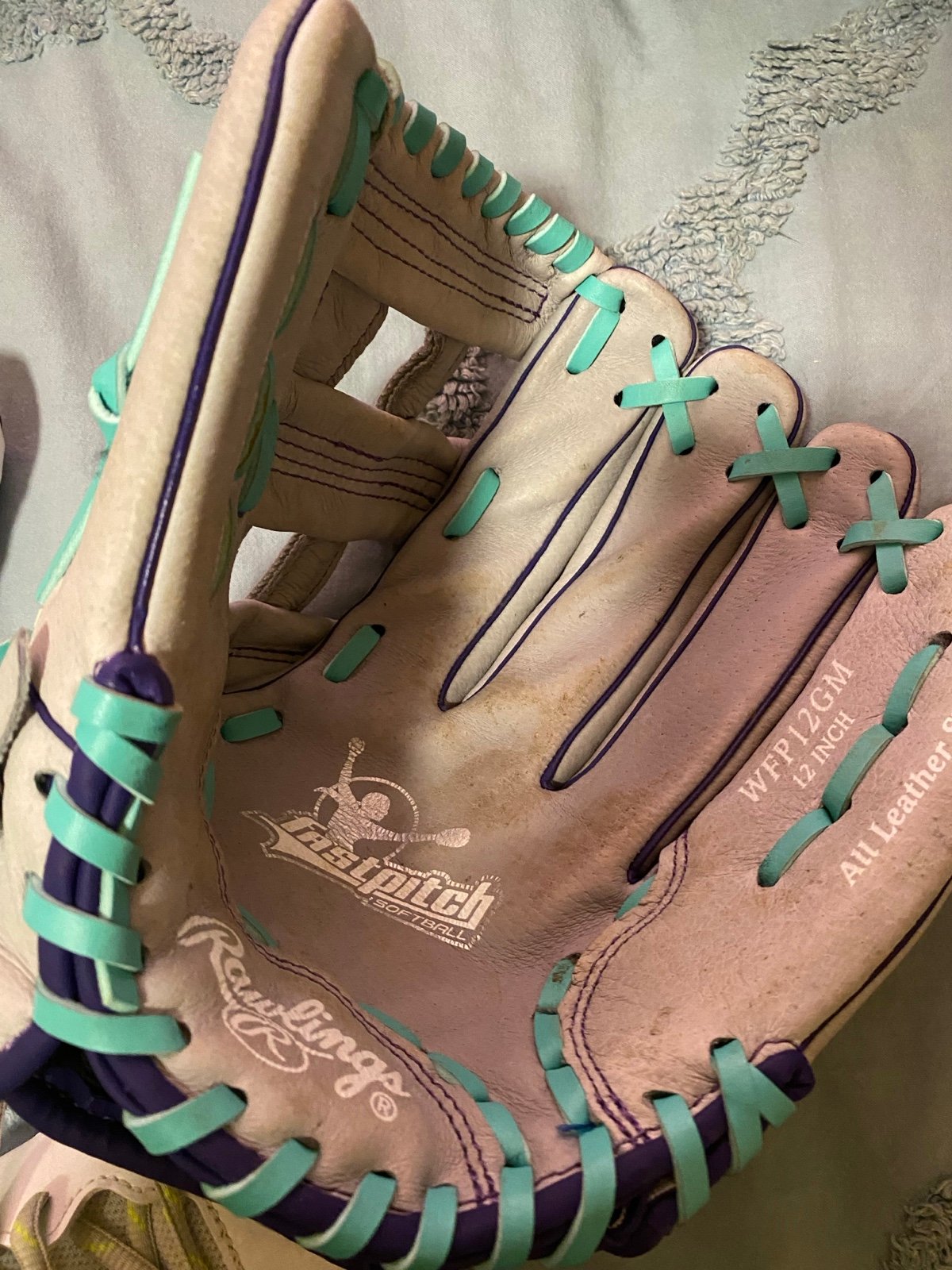 Rawlings fast pitch glove
