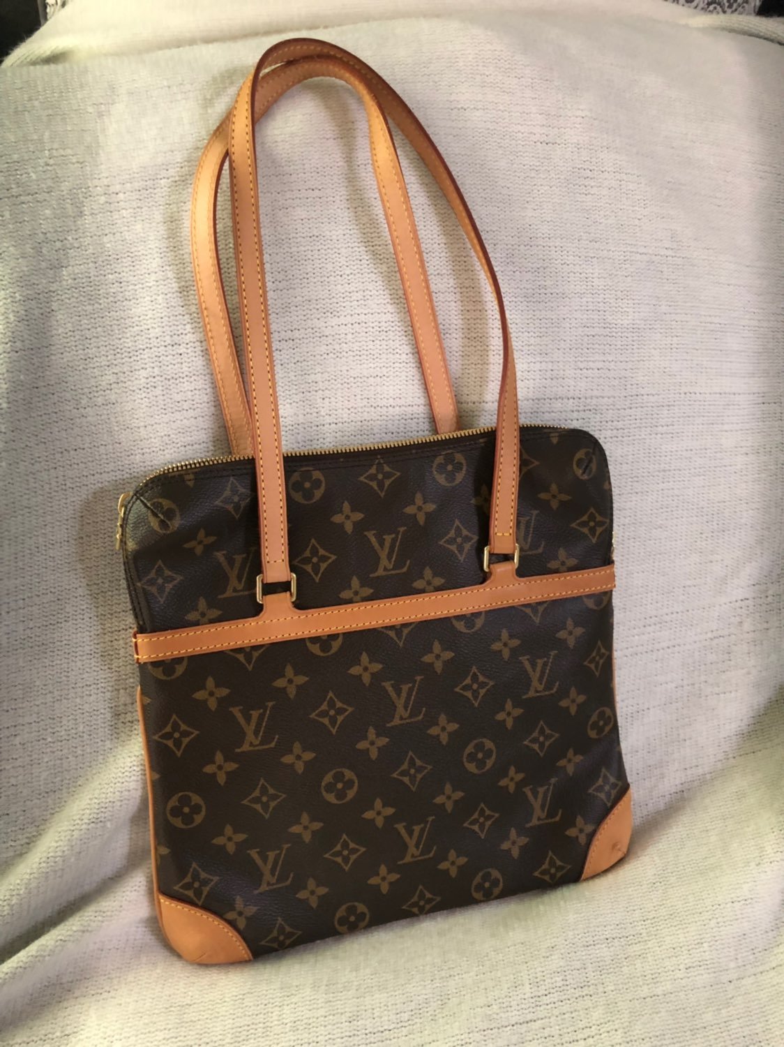 Louis Vuitton Sac Coussin Gm