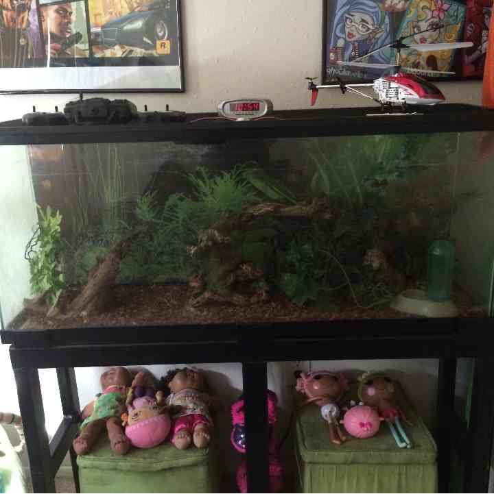 Iguana Cage
