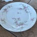 French Porcelain Dishes. Théodore Havi