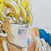 Dragon Ball Illustration with Flames - Part of Officially Published Collection