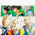 Dragon Ball Illustration with Flames - Part of Officially Published Collection