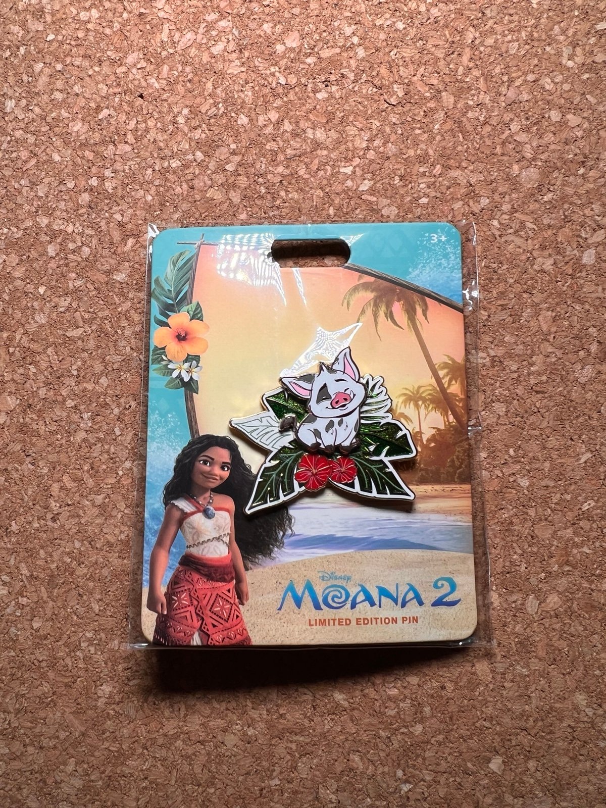 Disney DSSH Moana 2 Pua LE400 Pin