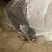Baby’s crib comforter and skirt