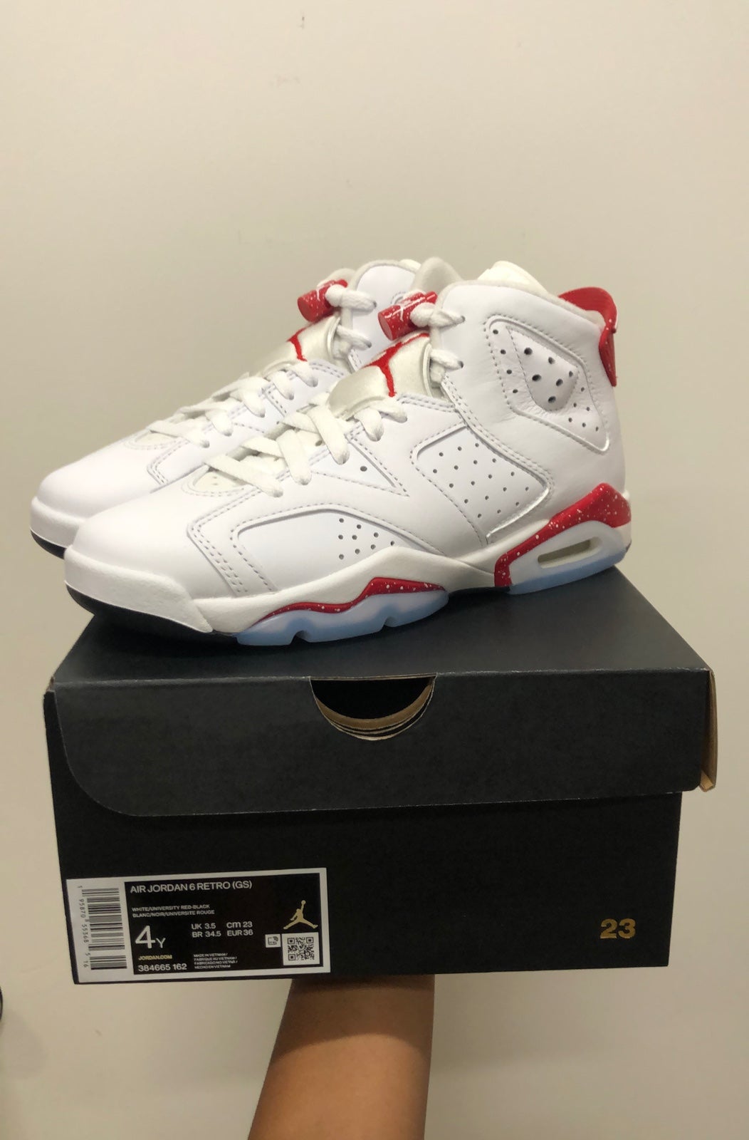 Air Jordan Retro 6 GS Red Oreo