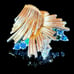 Boucher Earrings Vintage 50s Clip-Ons Gold-Tone Clear & Blue Rhinestones Signed