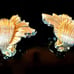 Boucher Earrings Vintage 50s Clip-Ons Gold-Tone Clear & Blue Rhinestones Signed