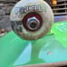 BAM element skateboard