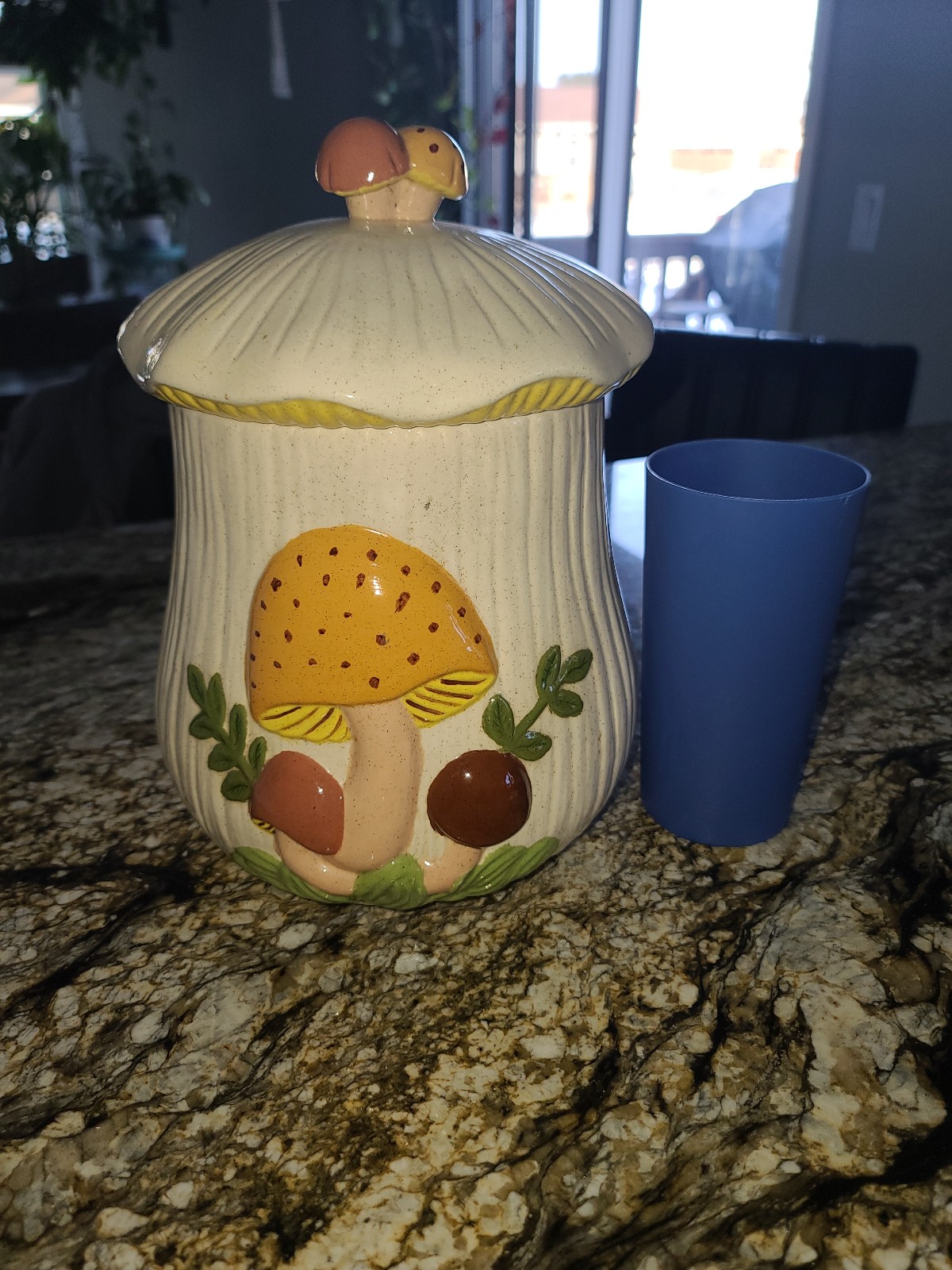Vintage Arnel mushroom canister XL