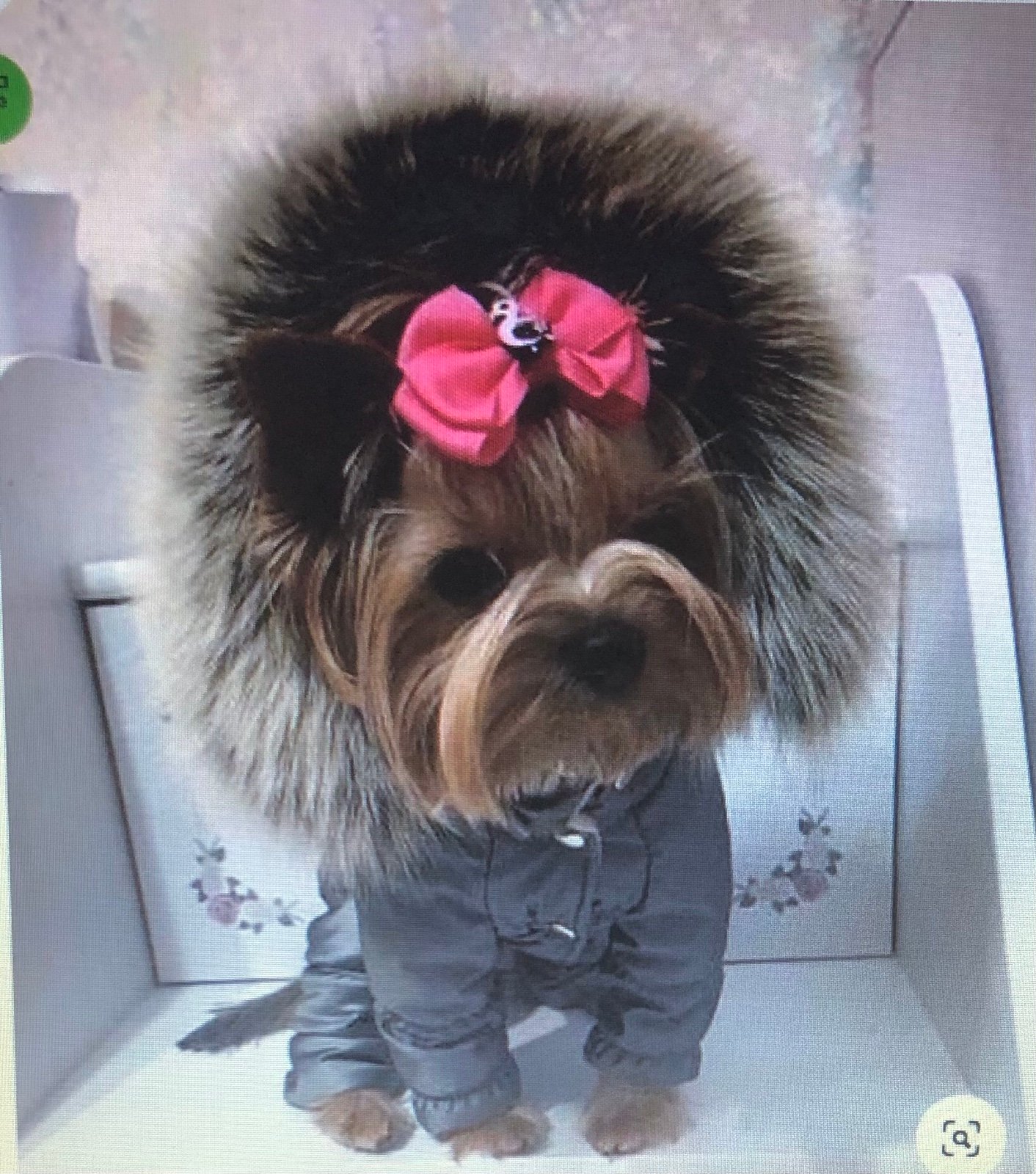 NWOT - Juicy Couture Vintage Dog Puffer Jacket w/Faux Fur Hood - Size Medium