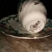 Teacup and Saucer