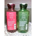 Bath & Body Works ALL 6 DISNEY PRINCESS 10oz Shower Gel Body Wash Belle Ariel +