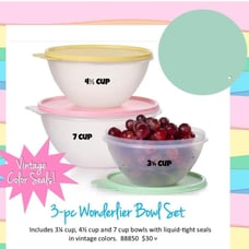 Tupperware Wonderlier Bowl 3-Pc. Set