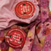Build a Bear Vtg Pinafore PINK Dress Panties Flower Floral Clothes Summer W Tags