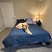 Dog Bed Cover Pet Blanket for Furniture Bed Stoneblue+violetblue