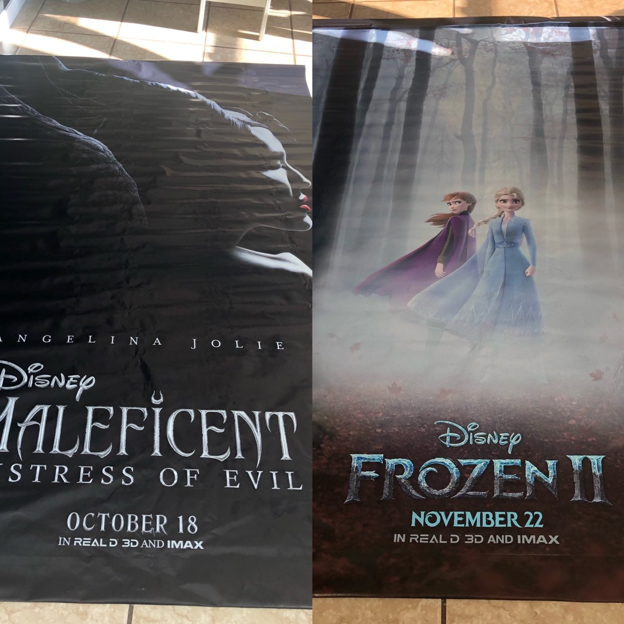 Disney Frozen 2 & Maleficient Mist 8ftx5