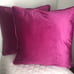 Contemporary Velvet Raspberry Pillow (2)