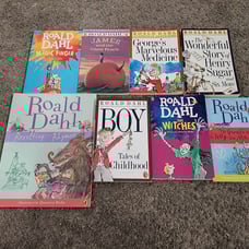 Roald Dahl Book Lot
