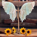 Caribbean Calcite Butterfly Wings