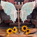 Caribbean Calcite Butterfly Wings