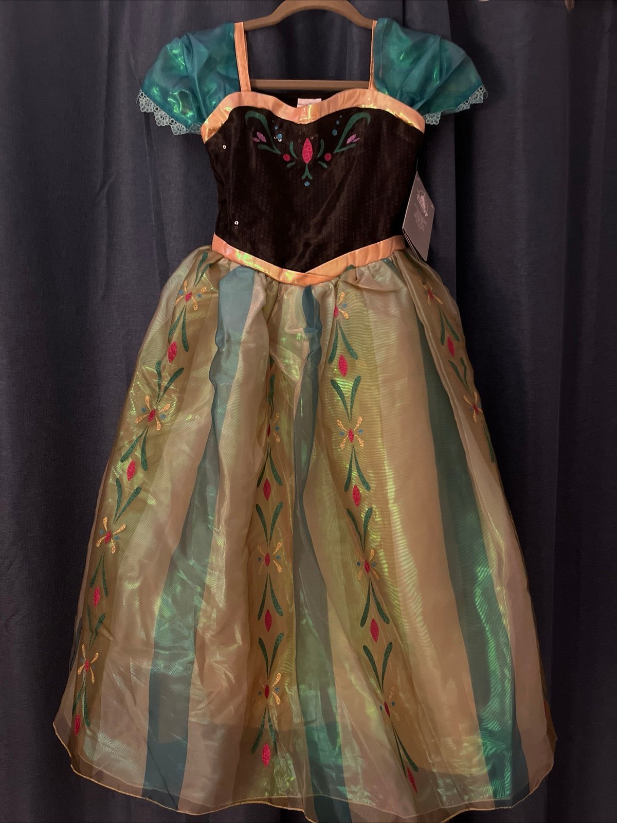 Disney Frozen Anna Carnation costume dress