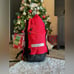 Backpack Elite Basketball Football Soccer Morral Mochila Nike Bolso