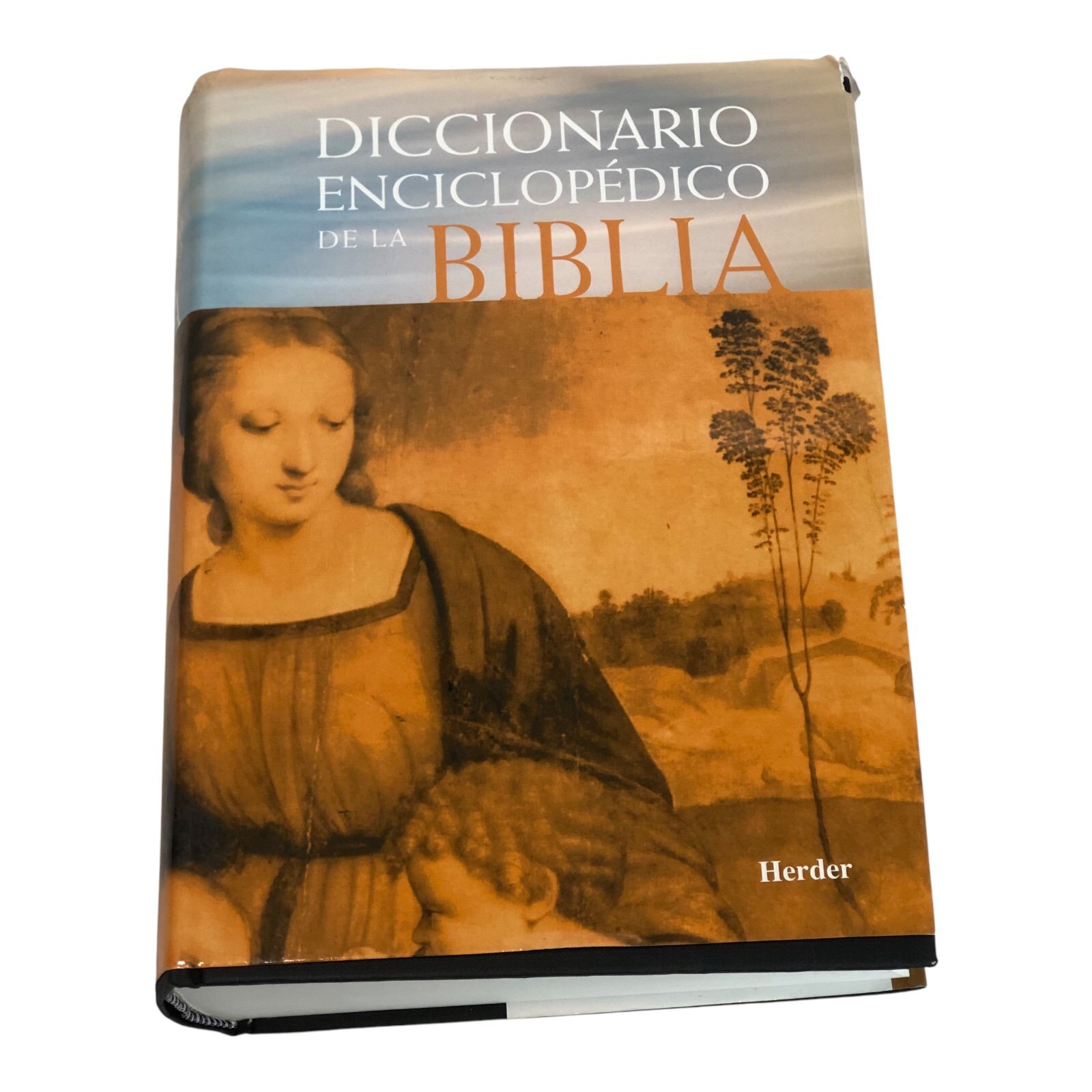 DICCIONARIO ENCICLOPEDICO DELA BIBLIA Spanish EDITION Encyclopedia 2003