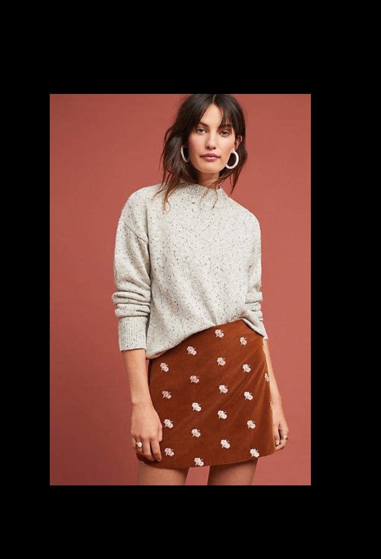 NWT ANTHRO RACHEL EMBROIDERED MINI SKIRT