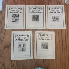 The Feathered Warrior