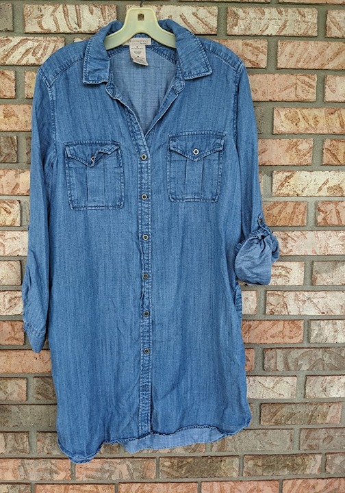Philosophy chambray dress 2025
