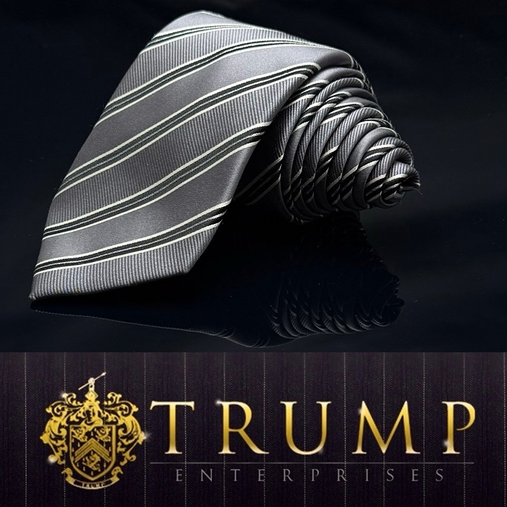 Donald J. Trump Collection Silver Tie Width 3.5 Length 61”