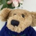 Boyds Bear Dexter Archive Collection
