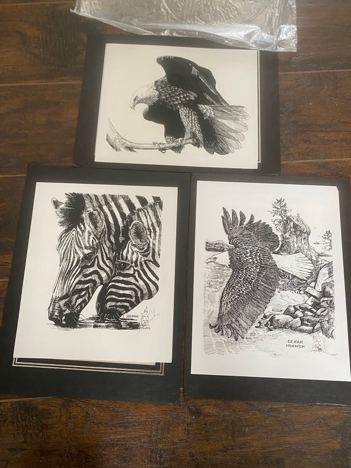 3 Steve Carter prints