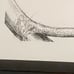 3 Steve Carter prints