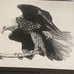 3 Steve Carter prints