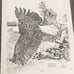 3 Steve Carter prints
